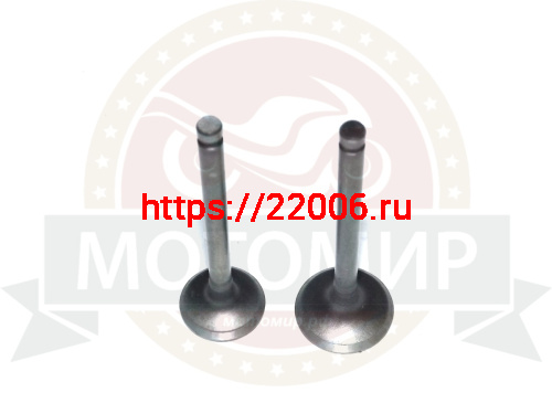 Клапан впускной/выпускной 1P54 ATV BRAVO (1040025-005-0000, 1040026-005-0000)