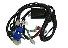 Проводка центральная в сборе (N5161030)