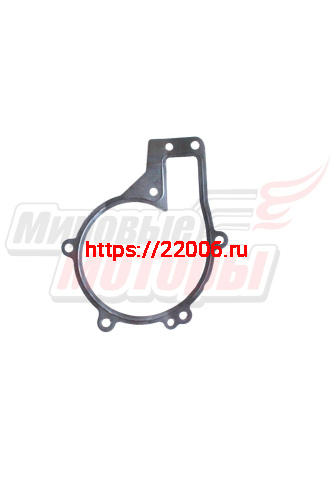 Прокладка водяного насоса FORA, TIGGO (484FC1307041) Прокладка водяного насоса FORA, TIGGO (484FC1307041)