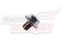 Болт крепления верхней траверсы TRIUMPH, ZF-KY, EKONIKA (ZF250-1),FALCON SPEEDFIRE
