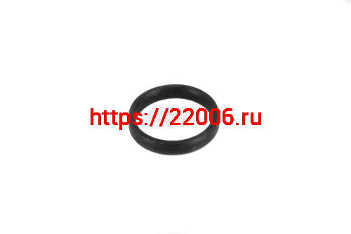 Шайба ЭП CARVER RSE2200 (2247)