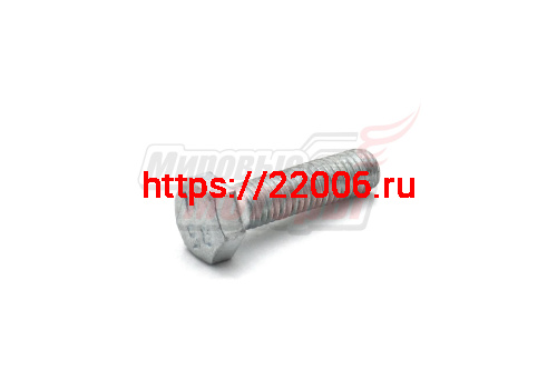 Болт М8х30х1,25 (крепления ножей фрезы)